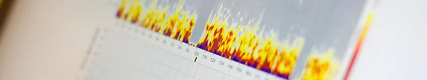 Stress- & Burnoutdiagnostik